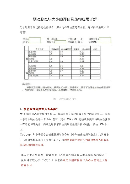 颈动脉斑块大小的评估及药物应用详解