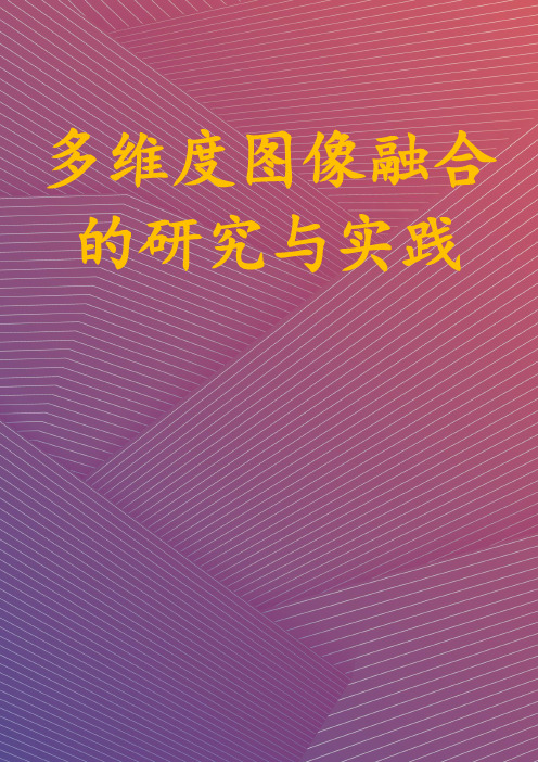 多维度图像融合的研究与实践