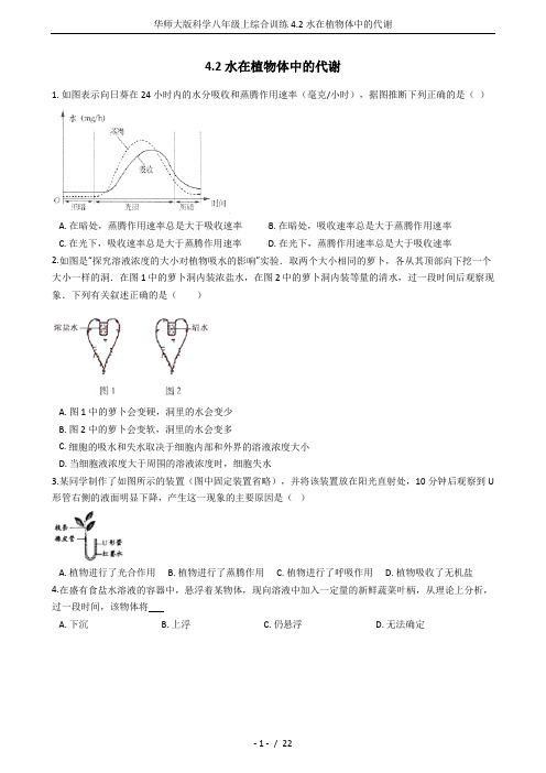 华师大版科学八年级上综合训练4.2水在植物体中的代谢