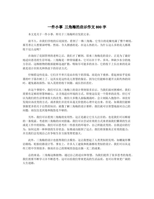 一件小事 三角梅的启示作文800字