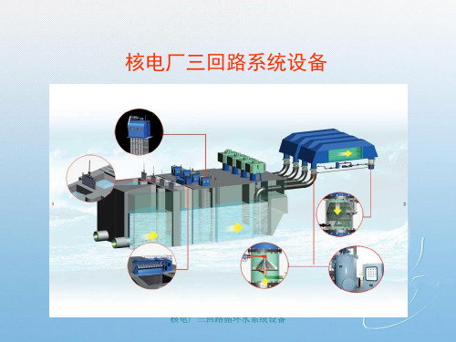 核电厂三回路循环水系统设备