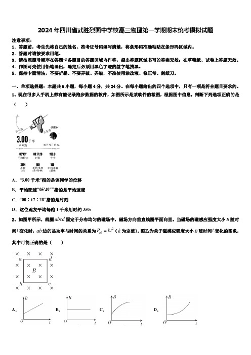 2024年四川省武胜烈面中学校高三物理第一学期期末统考模拟试题含解析