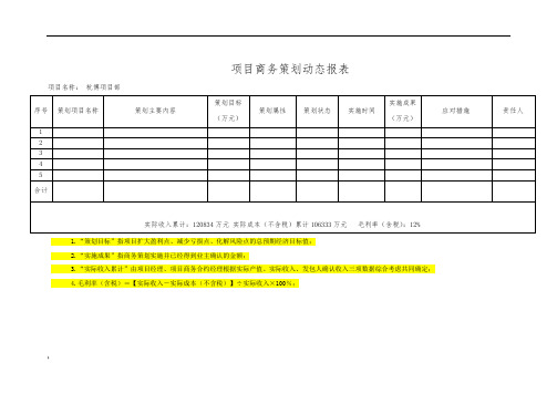 项目商务策划动态报表