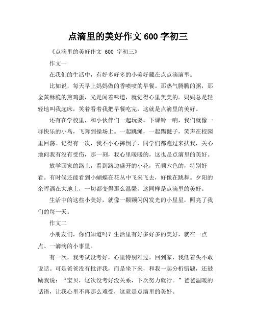 点滴里的美好作文600字初三