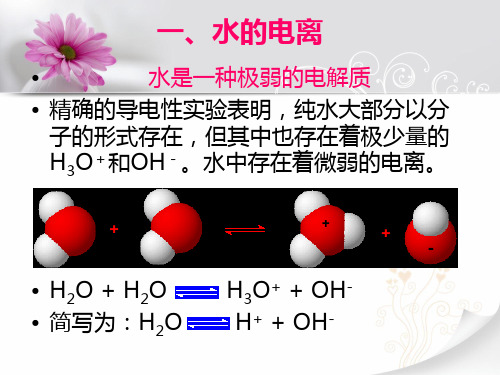 电解质溶液2.ppt