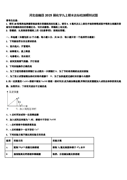 河北省魏县2025届化学九上期末达标检测模拟试题含解析