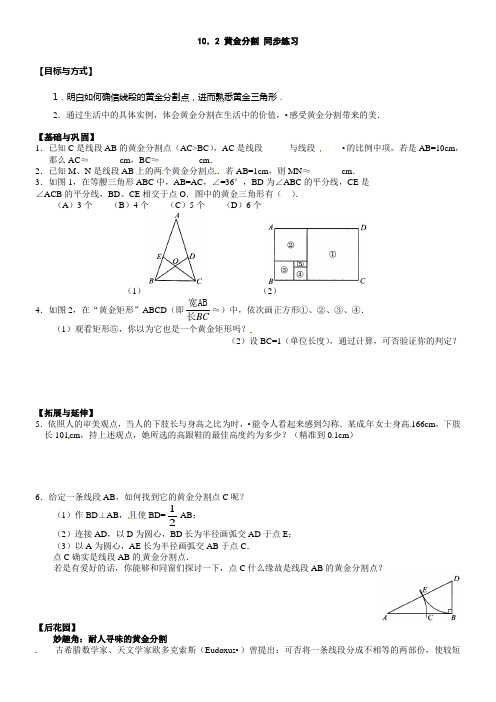 苏科版八下102黄金分割同步测试题