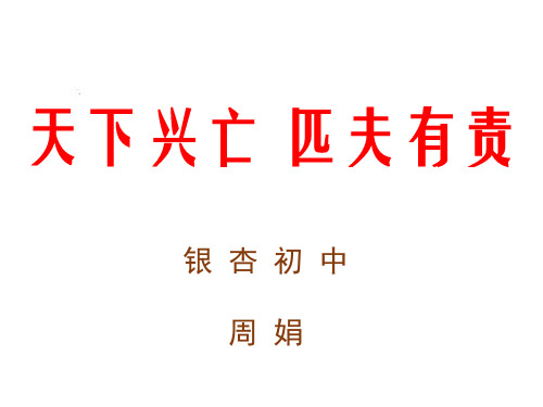 人教版(部编)八年级上册道德与法治《天下兴亡 匹夫有责》课件公开课 (8)