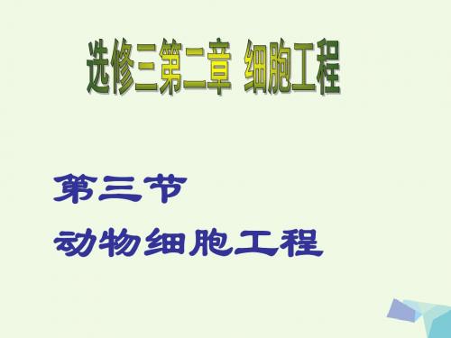 江苏省南京市高中生物第二章细胞工程2.3动物细胞工程