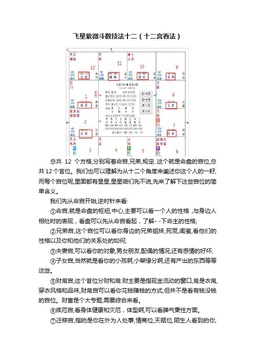 飞星紫微斗数技法十二（十二宫看法）