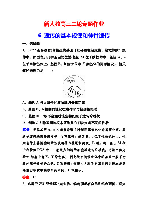 新人教高三二轮专题作业6 遗传的基本规律和伴性遗传