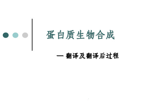 蛋白质生物合成—翻译及翻译后过程ppt课件