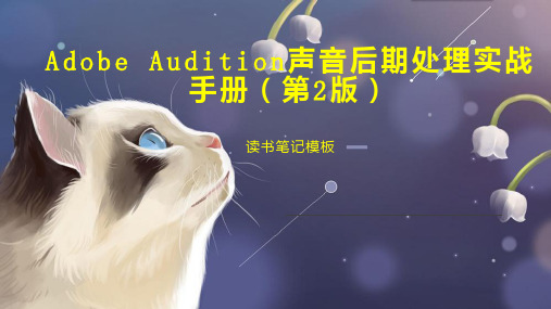 Adobe Audition声音后期处理实战手册(第2版)