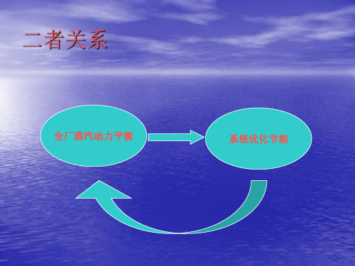 2011.8.14全厂蒸汽动力平衡以及系统优化节能