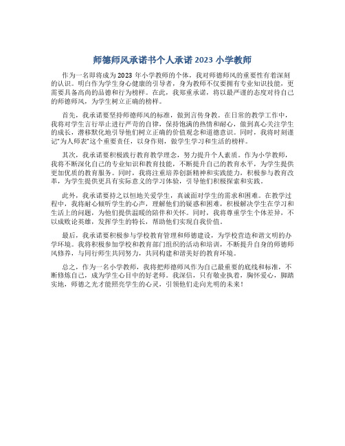 师德师风承诺书个人承诺2023小学教师