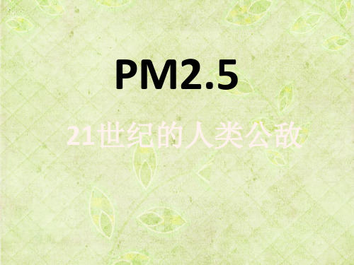 生活化学PPT PM2.5