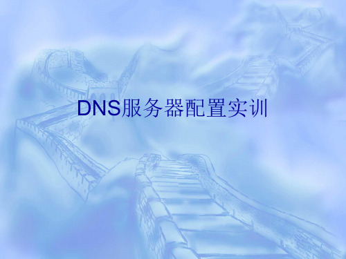 DNS服务器配置实训