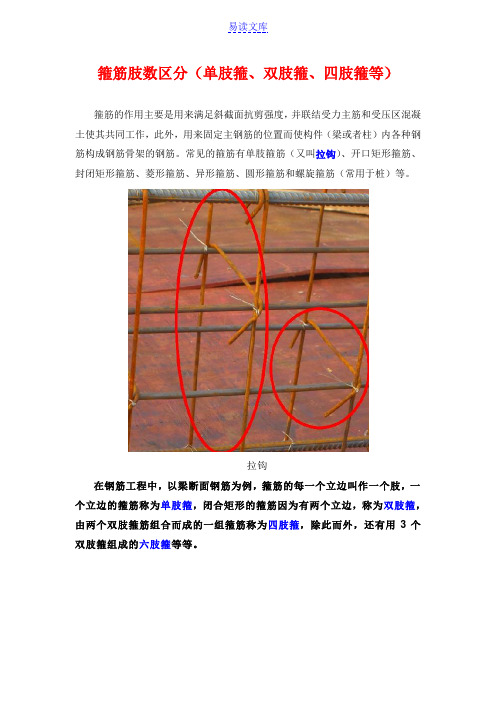 箍筋肢数区分(单肢箍、双肢箍、四肢箍等)