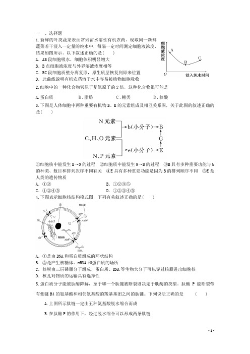 高一生物暑期训练28