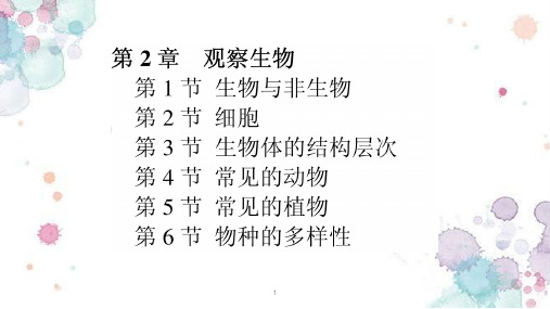 第2章观察生物复习(PPT课件(初中科学)44张)