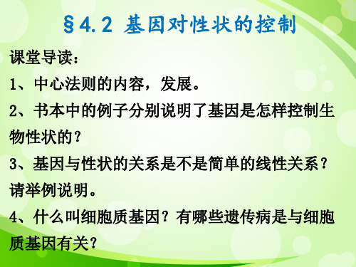 4.2基因对性状的控制