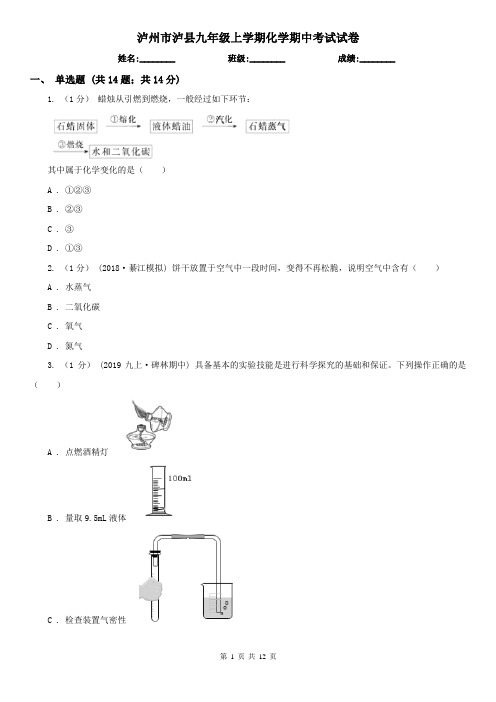 泸州市泸县九年级上学期化学期中考试试卷