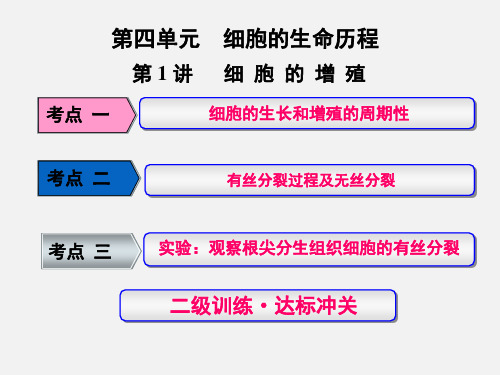 高考生物 一轮复习 第四单元 细胞的生命历程 第1讲 细胞的增殖(必修1) (2)