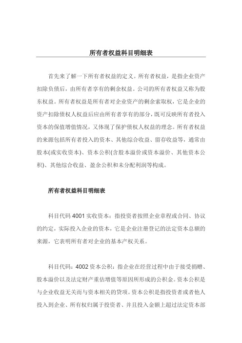 所有者权益科目明细表
