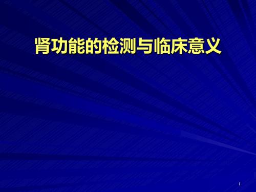 肾功能的检测与临床意义ppt课件