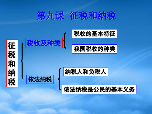 高一政治税收及其种类 新课标 人教