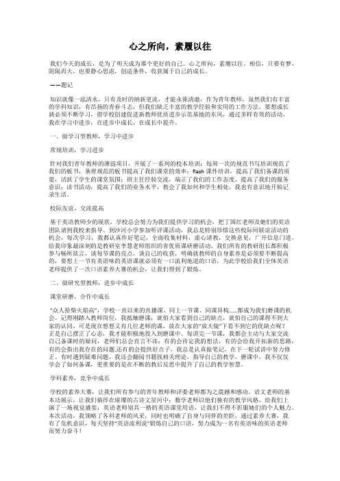 心之所向,素履以往