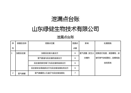 泄漏点台账(1)