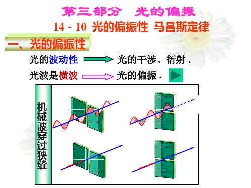 偏振光