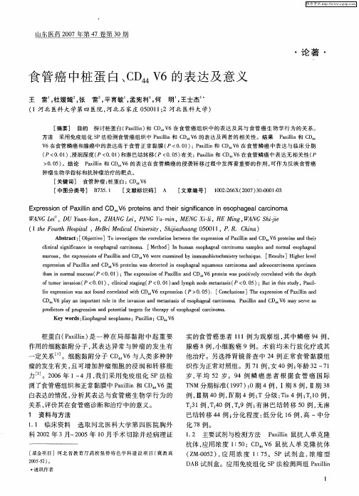 食管癌中桩蛋白、CD44 V6的表达及意义