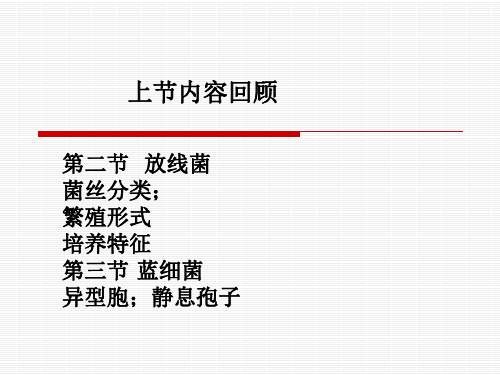 第二章 真核微生物08