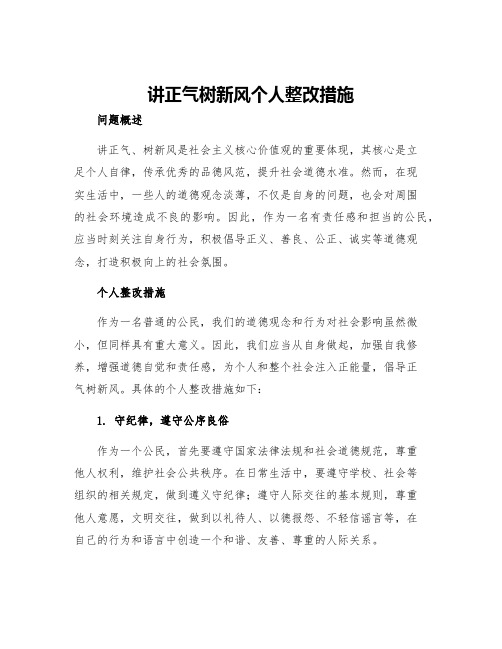 讲正气树新风个人整改措施