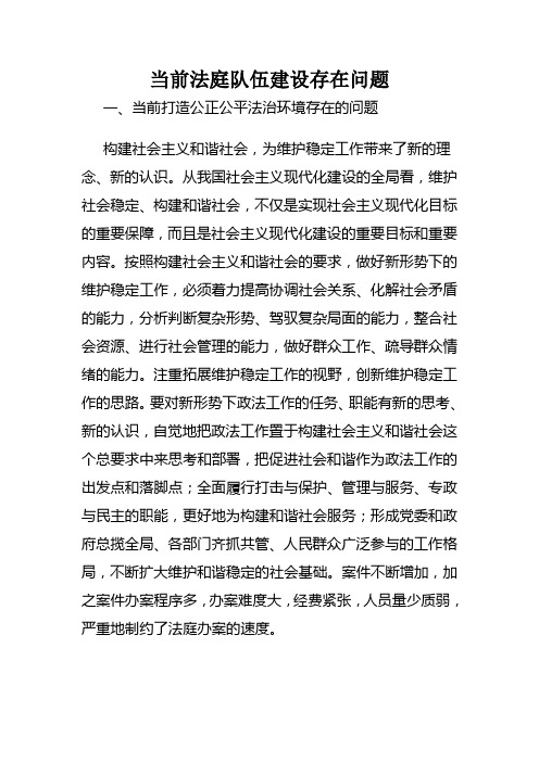 当前政法队伍存在的问题