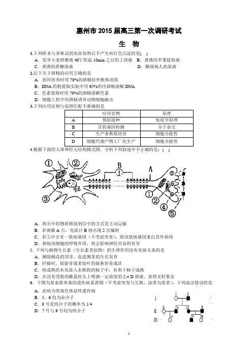 惠州市2015届高三第一次调研考试(生物)