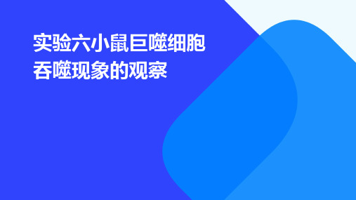 实验六小鼠巨噬细胞吞噬现象的观察