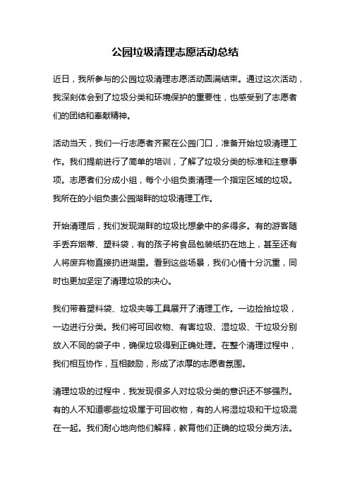 公园垃圾清理志愿活动总结