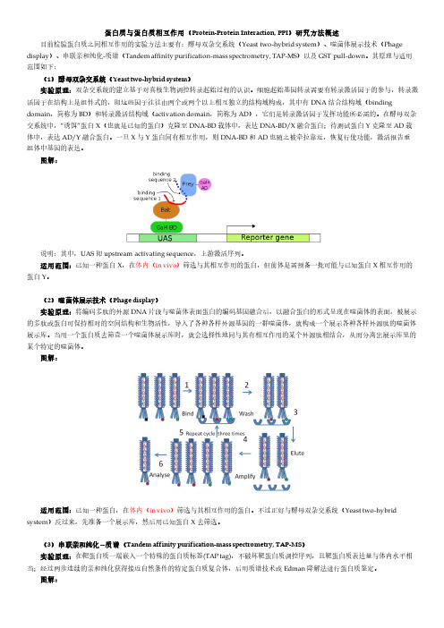 蛋白质与蛋白质相互作用(Protein-Protein Interaction, PPI)研究方法概述