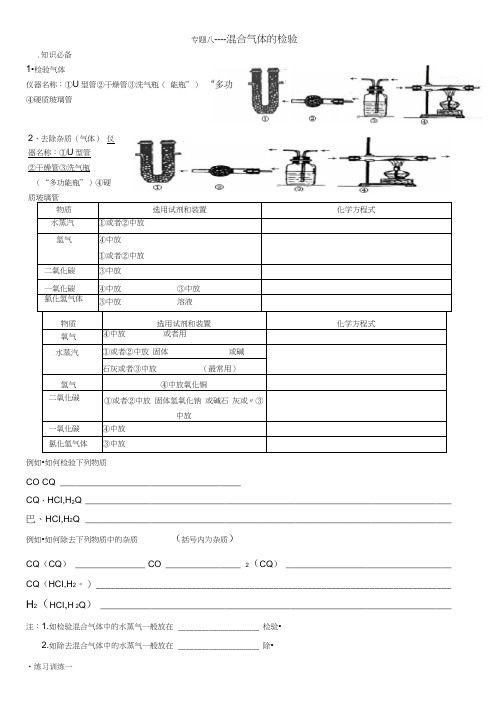 专题八-----混合气体的检验