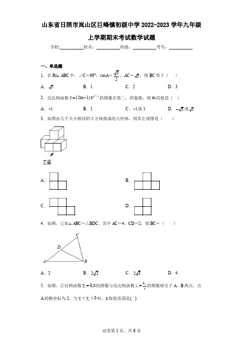 山东省日照市岚山区巨峰镇初级中学2022-2023学年九年级上学期期末考试数学试题