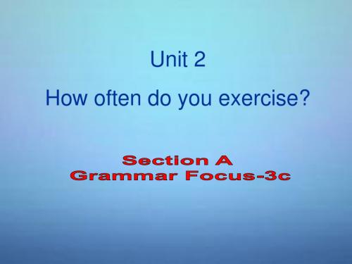 八年级英语上册 Unit 2 How often do you exercise Section A(Grammar Foucs-3c)课件 (新版)祥解