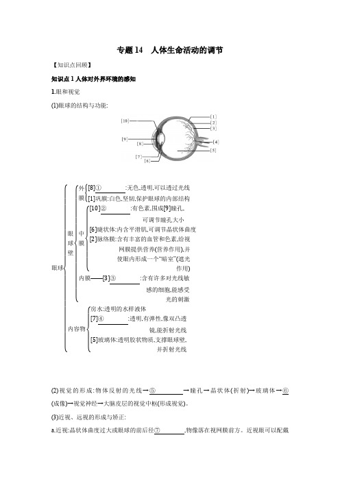 2021年中考生物复习微专题-讲次14 人体生命活动的调节(学生版)