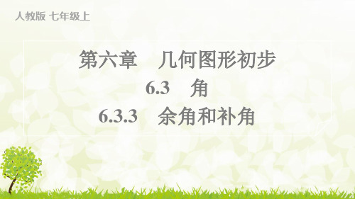 人教版2024-2025学年七年级数学上册6.3.3 余角和补角(习题课件)