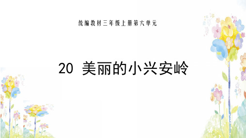 三年级上册语文课件PPT人教部编版美丽的小兴安岭