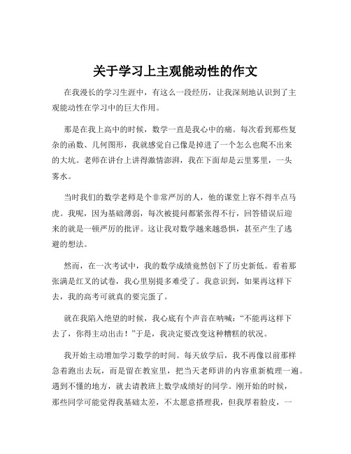 关于学习上主观能动性的作文