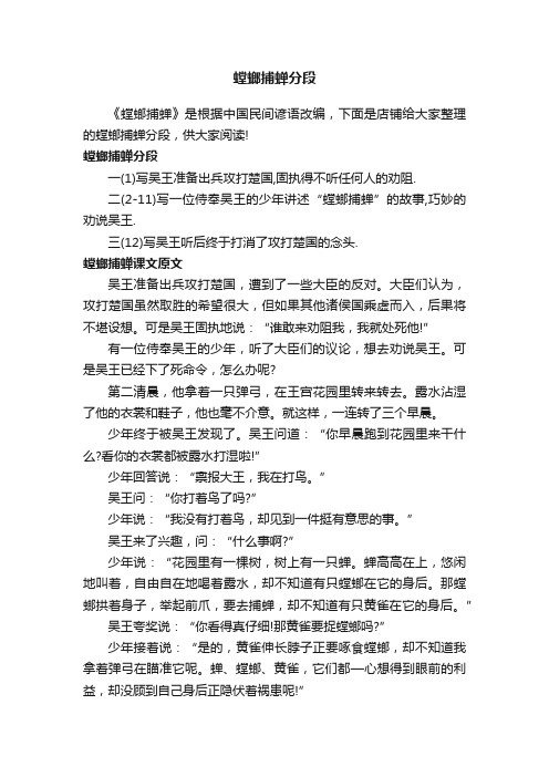 螳螂捕蝉分段