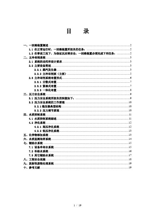 船舶核动力装置一回路系统